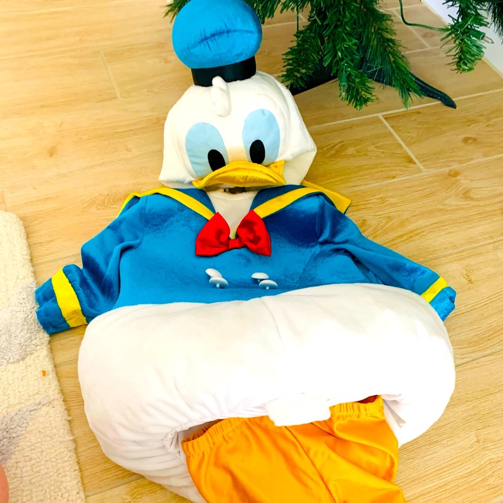 Donald Duck Halloween costume for 18 month old.